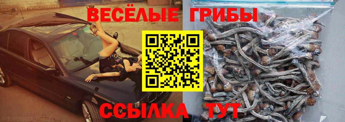 Псилоцибиновые грибы Magic Shrooms Саянск