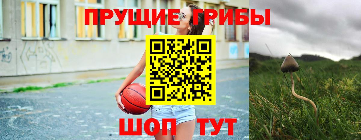 Саянск  купить   Псилоцибиновые грибы Psilocybe  Вход с VPN  Псилоцибиновые грибы Magic Shrooms 